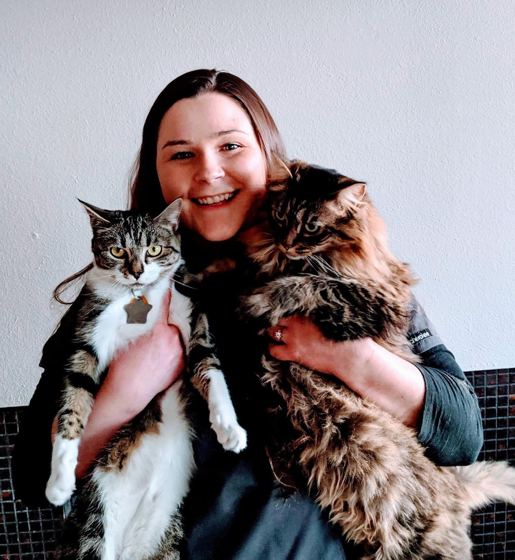 Person with two cats